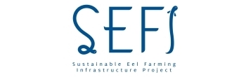 SEFI：うなぎ持続可能プロジェクト