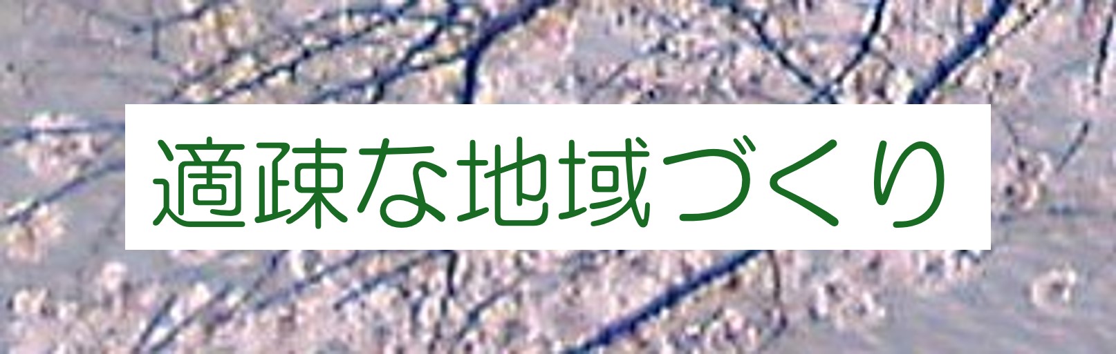 適疎な地域づくり