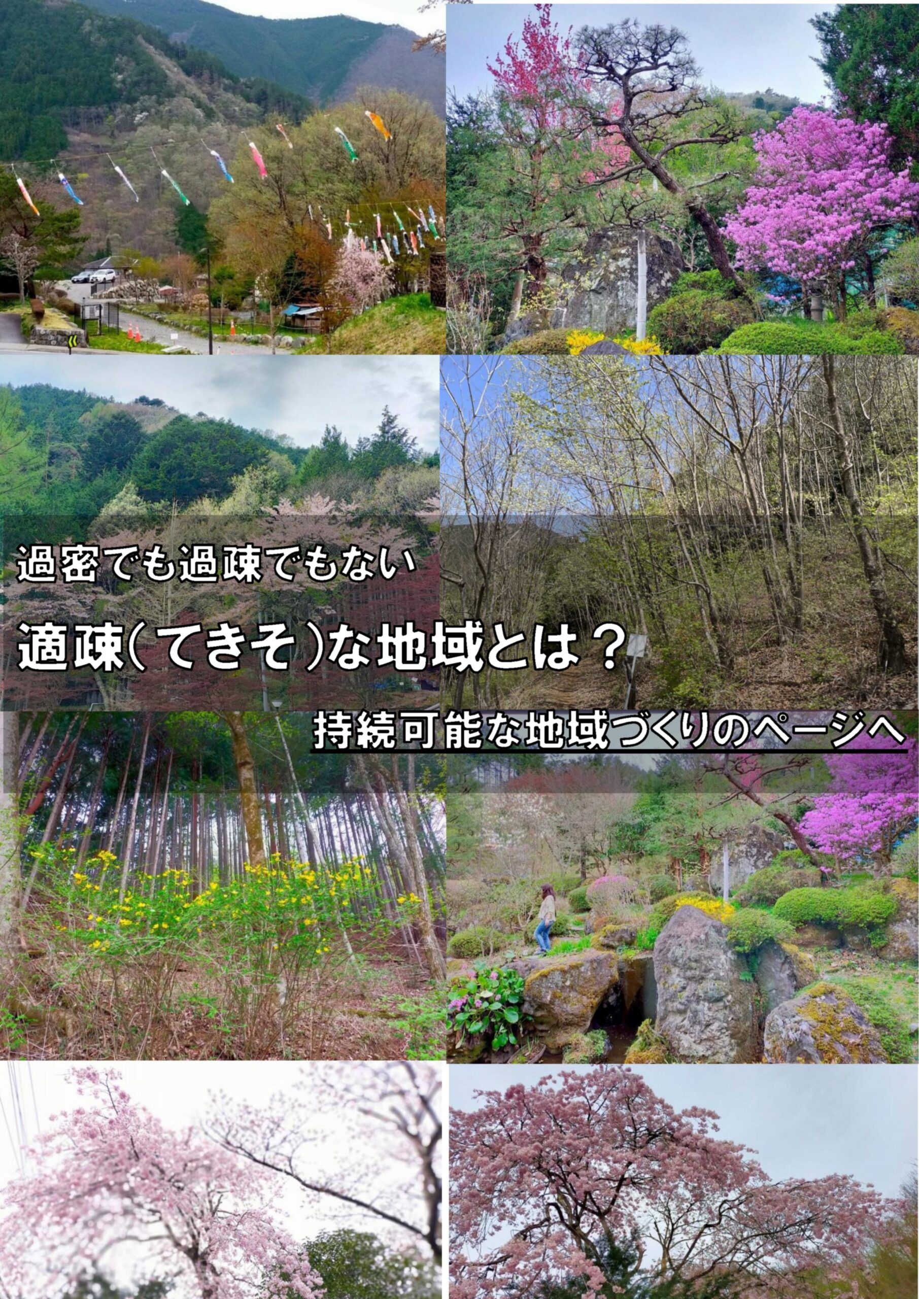 「人口減少下の地域づくり」を新たな視点で考える